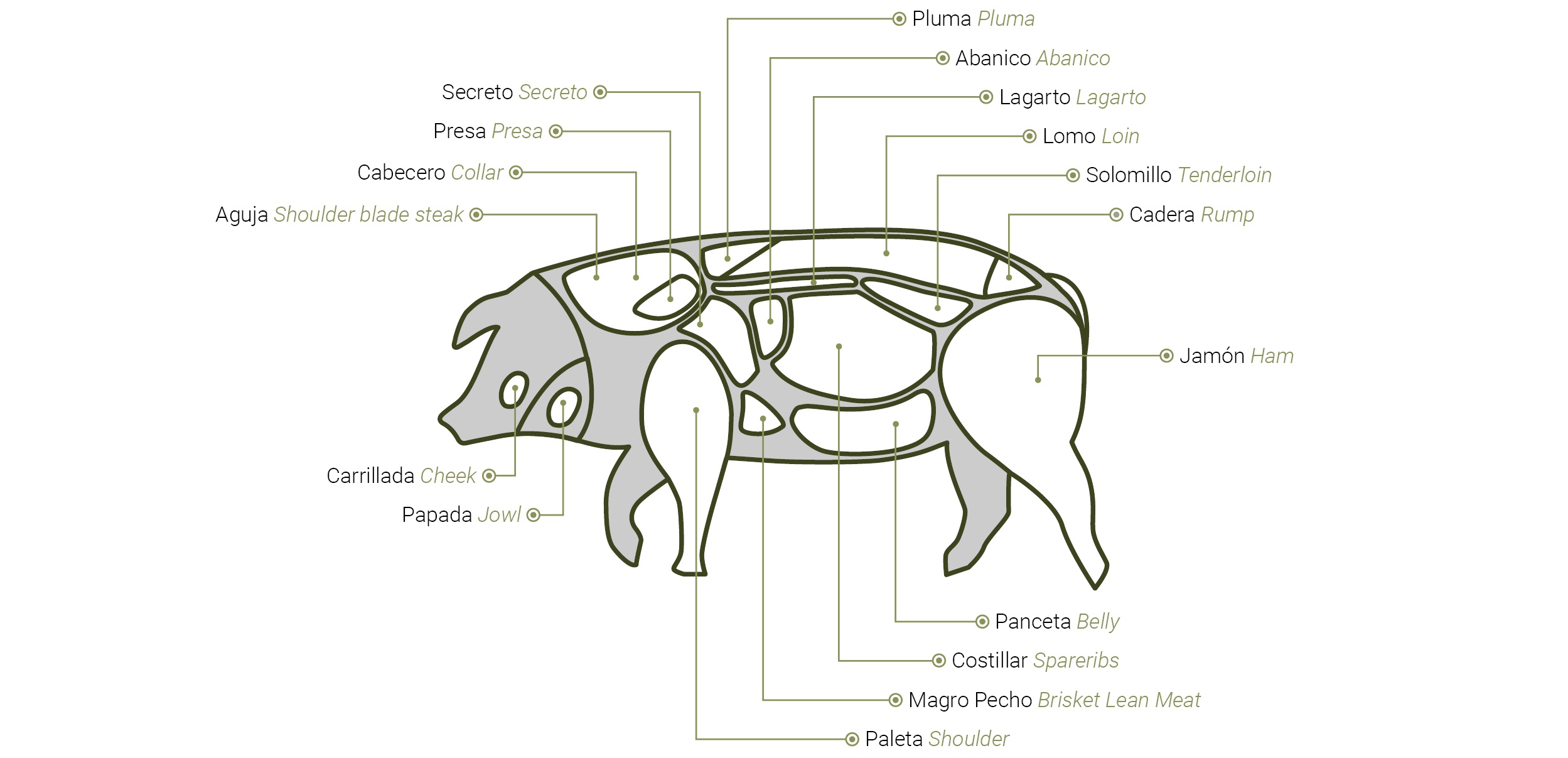 ANCHA CASTILLA - despiece del cerdo ibérico